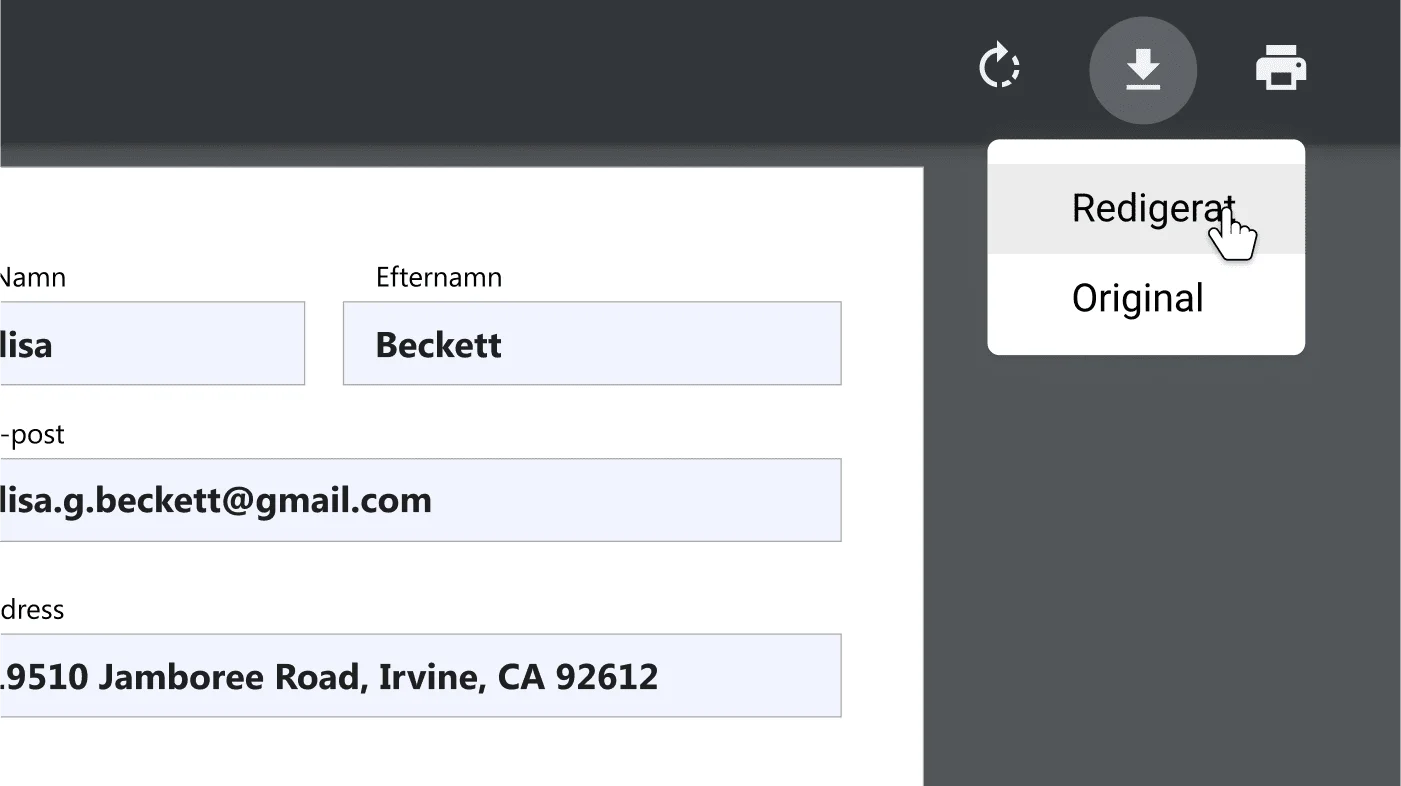 Ett webbläsarfönster i Chrome med ett öppet PDF-dokument där alternativmenyn för nedladdning och utskrift har zoomats in.